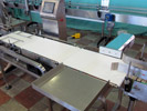 Checkweigher with rejection unit