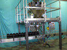 Multihead Weighing System